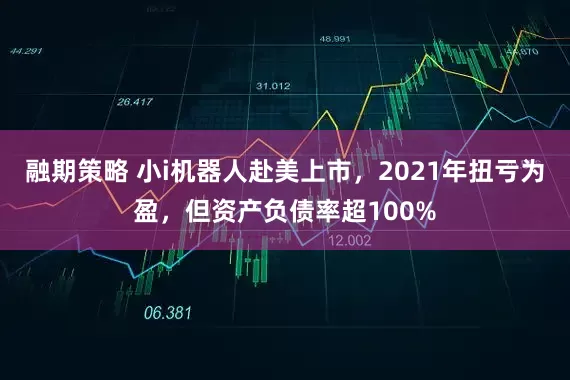 融期策略 小i机器人赴美上市，2021年扭亏为盈，但资产负债率超100%
