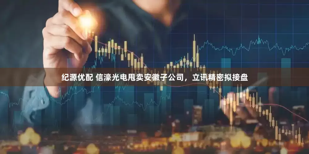 纪源优配 信濠光电甩卖安徽子公司，立讯精密拟接盘
