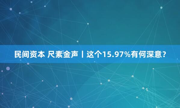 民间资本 尺素金声丨这个15.97%有何深意？