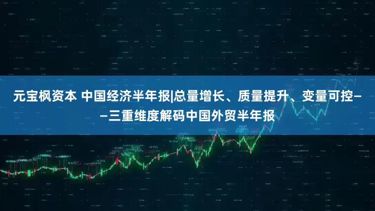 元宝枫资本 中国经济半年报|总量增长、质量提升、变量可控——三重维度解码中国外贸半年报