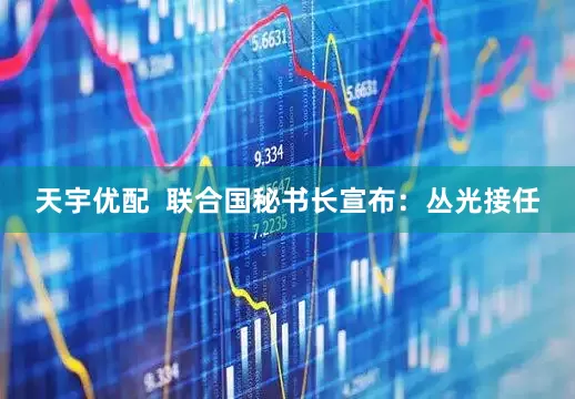 天宇优配  联合国秘书长宣布：丛光接任