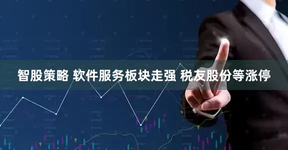 智股策略 软件服务板块走强 税友股份等涨停